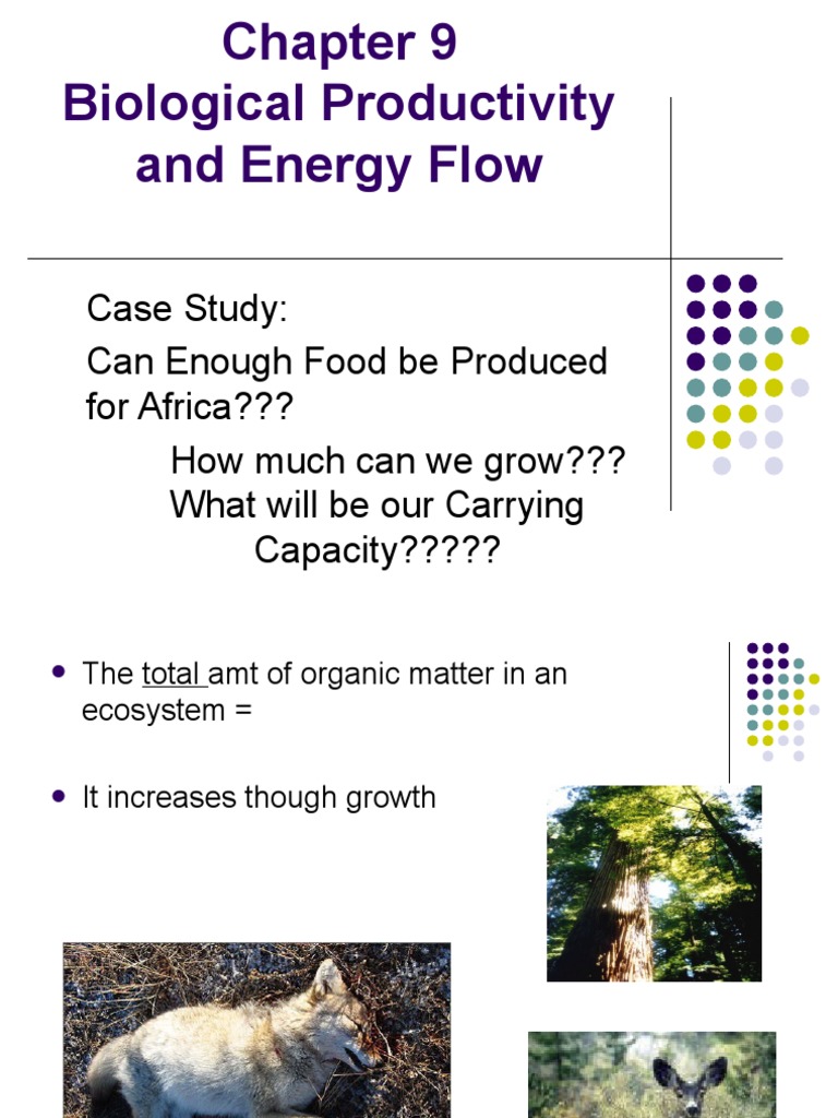 Chapter 9 Power Point | PDF | Science & Mathematics
