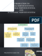 Introduction to CNS PNS ANS.pptx