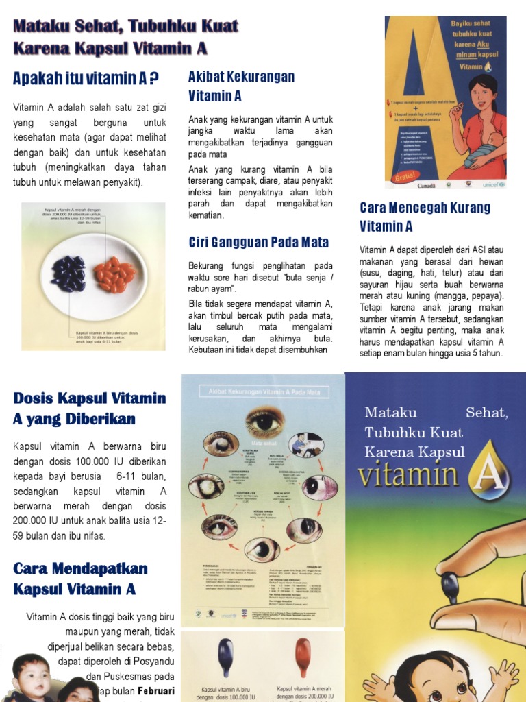 Leaflet Vitamin A Pdf