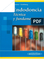 Endodoncia Tecnica y Fundamentos