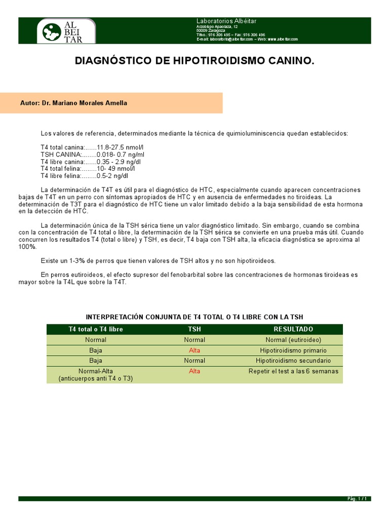 Hipotiroidismo Perro PDF Hormona estimulante de la tiroides