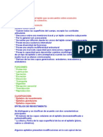 El Tejido Epitelial Es El Tejido Que Se Encuentra Sobre Acúmulos Subyacentes de Tejido Conectivo