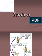 Tenioza. 18