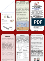 Oficial Triptico PDF