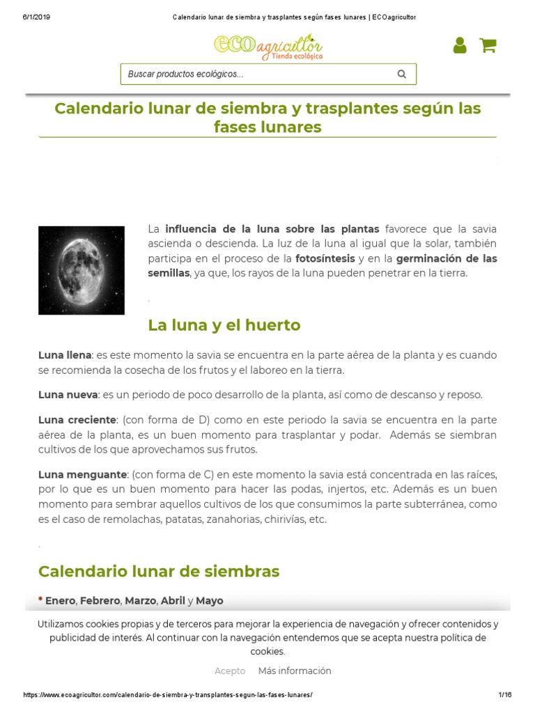 Calendario Lunar 2020 Corte De Pelo Siembra Y Depilacion