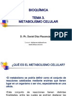 METABOLISMO-CELULAR.pdf