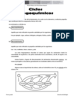 Resumen Del Ciclo Biogequimicos