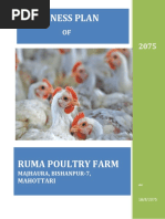 Poultry Farm Business Plan in Nepal