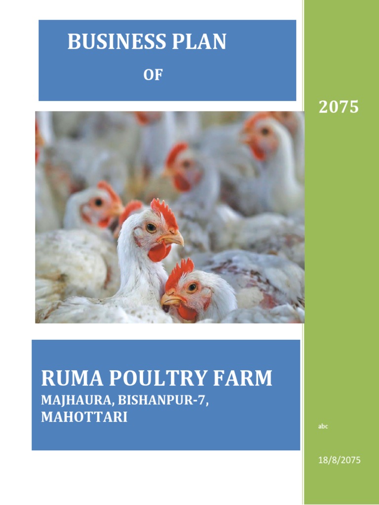 POULTRY FARM BUSINESS PLAN IN NEPAL Internal Rate Of Return Net
