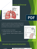 Anatomia Sistema Pulmonar
