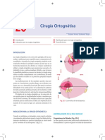 ortognatica tipos.pdf