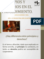 Principios y Derechos en El Procedimiento 1 - 2 PDF