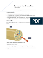 The Structure and Function of the Nervous System