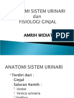 Fisiologi Ginjal