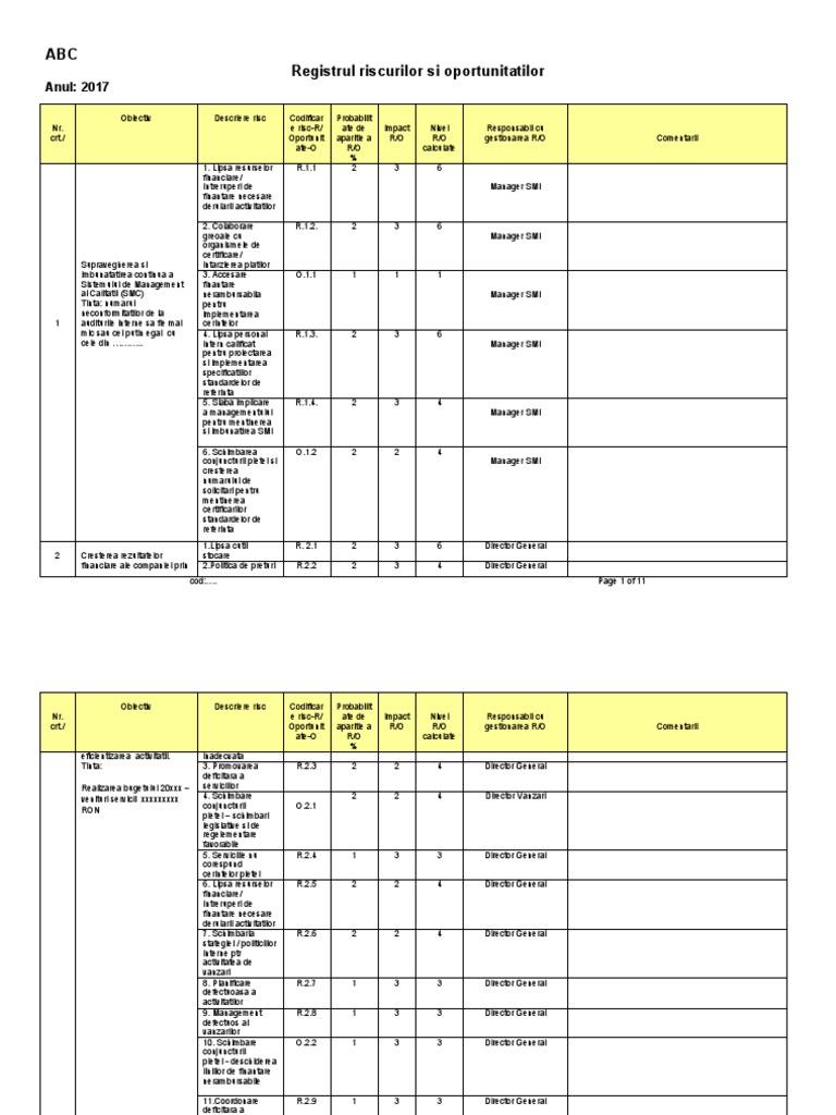 Registru Riscuri | PDF