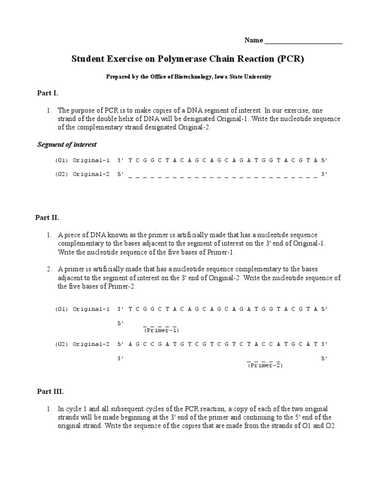 PCR Student Exercise Worksheet | PDF | Primer (Molecular Biology ...