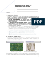 CTA - 1º_Evaluación diagnóstica.doc