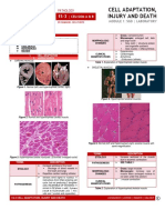 [PATHO] 1S-3 CELL ADAPTATION, INJURY AND DEATH.pdf