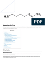 In-Depth Nootropic Review of Agmatine Sulfate