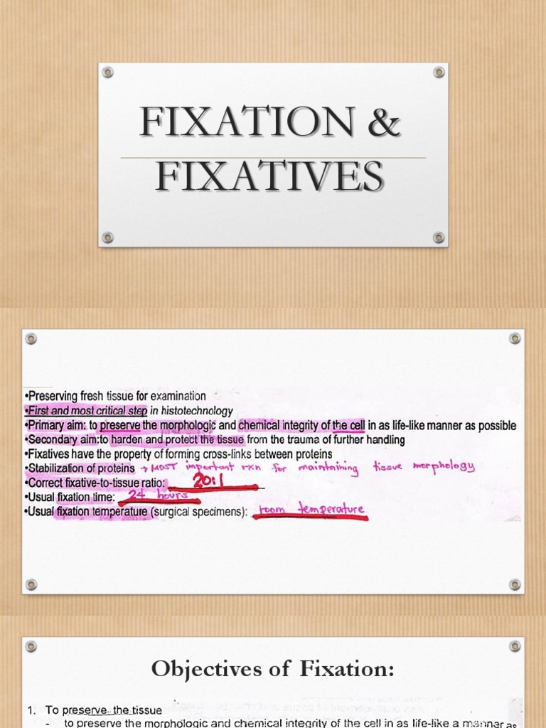 03 Fixation Fixatives PDF