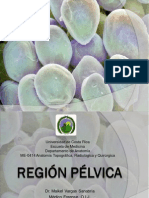 Tema 35 Región pélvica - Dr. Vargas