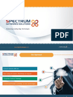 Business Portfolio - Spectrum Networks Solutions