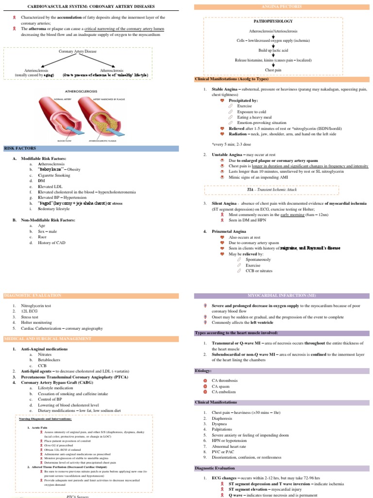 Understanding Coronary Artery Diseases | PDF | Coronary Artery Disease ...