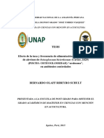 tasa y frecuencia de alimentacion en alevines de arahuana.pdf