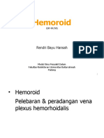 P 4a + 3a Hemoroid