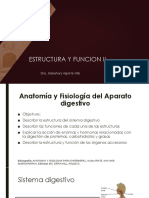 Anatomía y Fisiología Del Sistema Digestivo