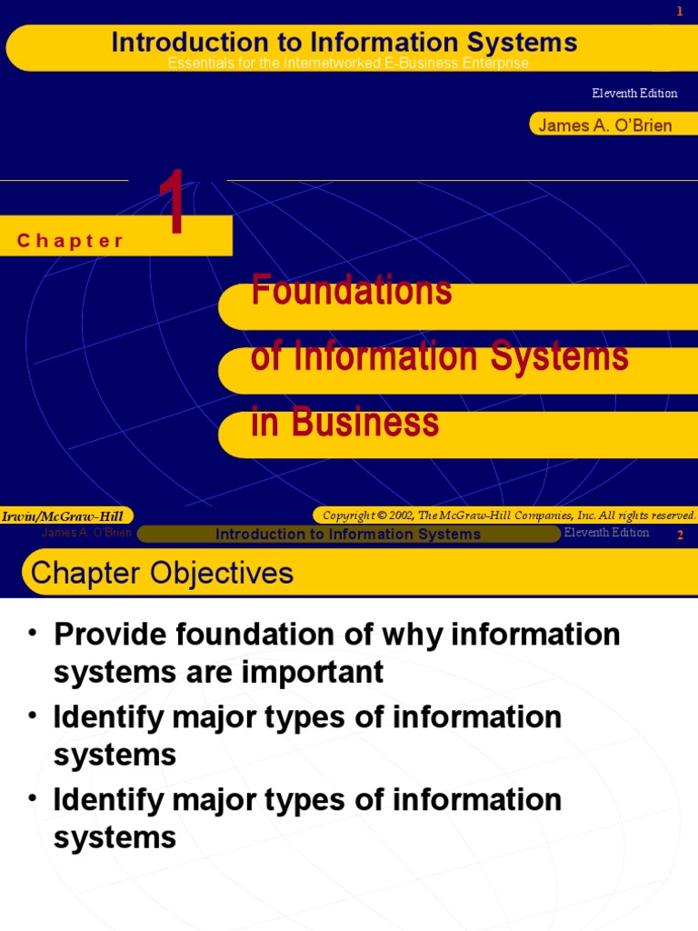 Foundations of Information Systems in Business | PDF | Information ...