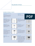 Estadios Tanner PDF