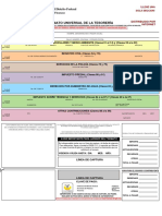 Formato Universal de La Tesorería PDF