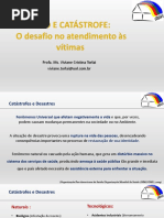 Luto e Catástrofe - Viviane Cristina Torlai