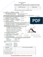Diagnostico Grado 9 en PDF
