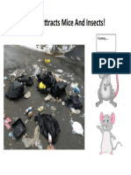 Littering Attracts Mice and Insects!: Yummy...