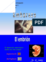 Embarazo y Desarrollo Embrionario