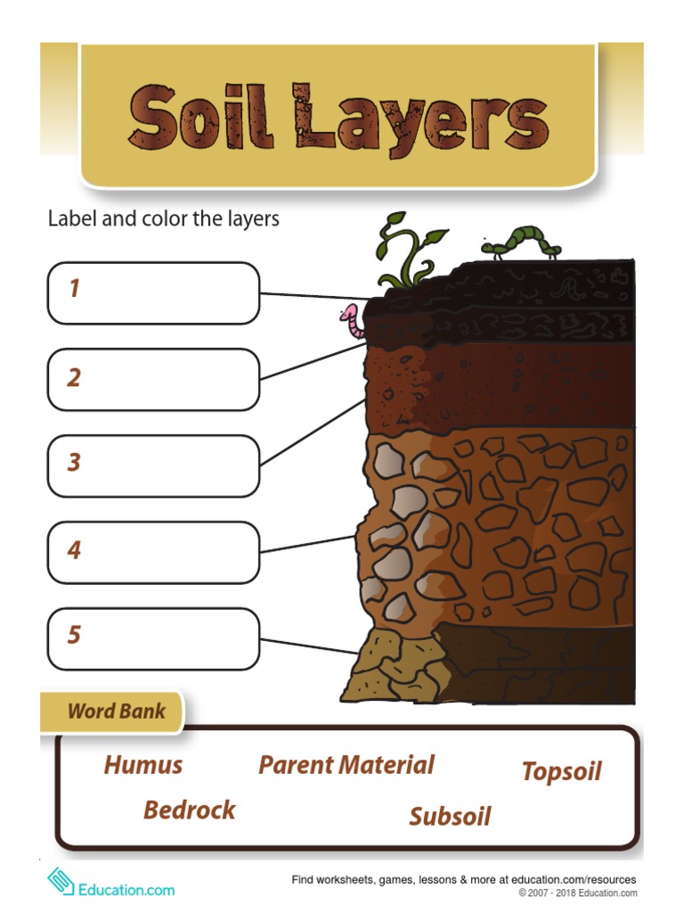 Soil  PDF Regarding Layers Of Soil Worksheet