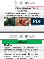 01_REGULACION_FITOSANITARIA_NACIONAL_FRUTILLAS.pptx