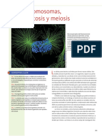 Lectura Cromosomas Reproducción Celular y Adn PDF