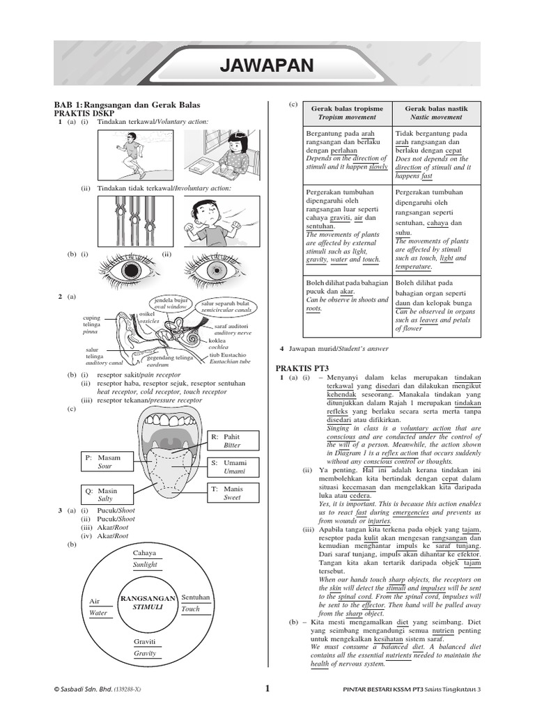 Jawapan Modul Aktiviti Pintar Bestari Sejarah Tingkatan 5 Johor