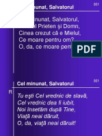 Cel Minunat, Salvatorul