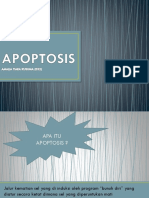 APOPTOSIS