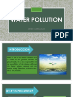 Water Pollution: Brenda Carlos Huaman