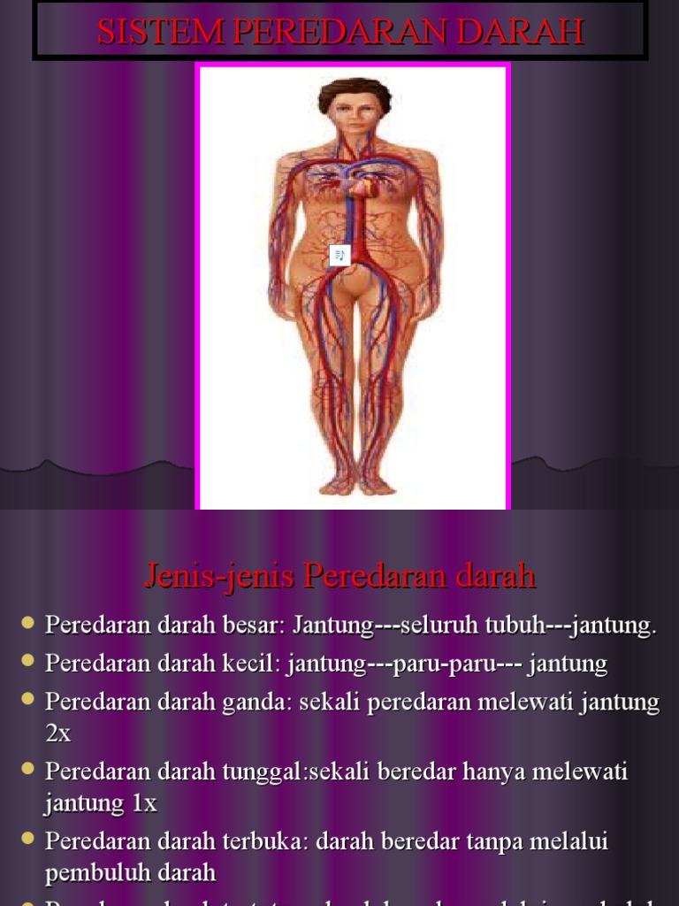 Sistem Peredaran Darah