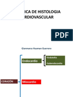 Cardiovascular Resp Pira To Rio