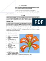 Fotosíntesi, Parts de La Flor, Reproducció Sexual I Asexual