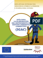 GUÍA PARA LA ELABORACIÓN DEL IGAC.pdf