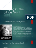 Urinarytractimagingandpathology 141220120429 Conversion Gate01