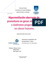 Uy24 17848 PDF